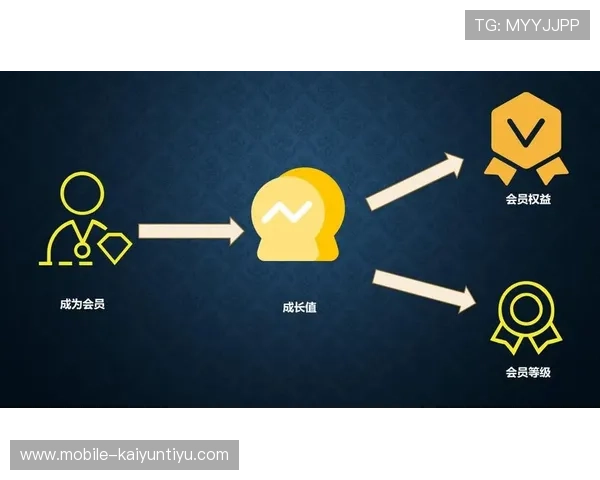 KY体育集团会员注册流程详解助你轻松成为会员享受专属权益