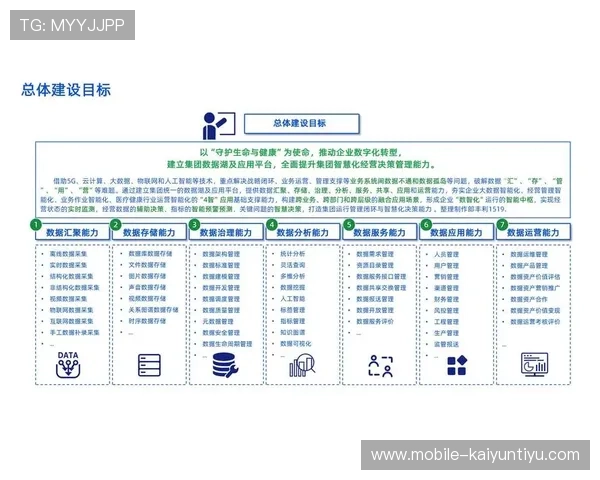 开云平台介绍：帮助企业理解平台优势实现数字化转型的最佳选择