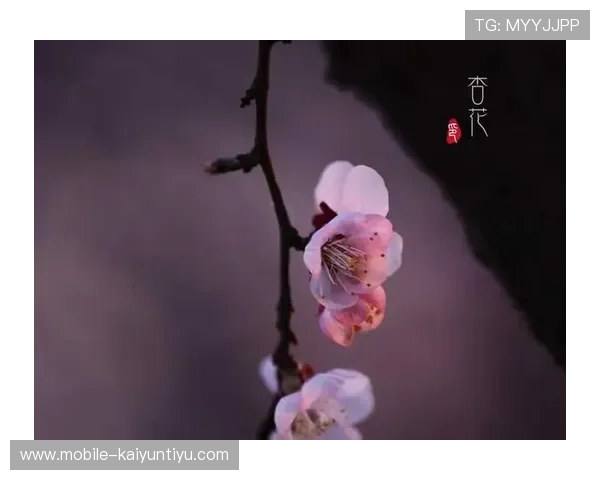 注册开云官网账号后如何绑定支付方式确保交易安全